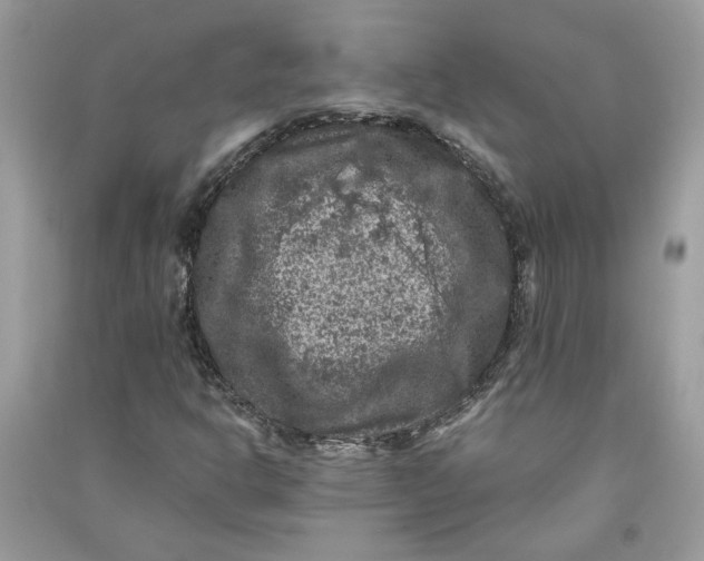 X0000090731302200708101630