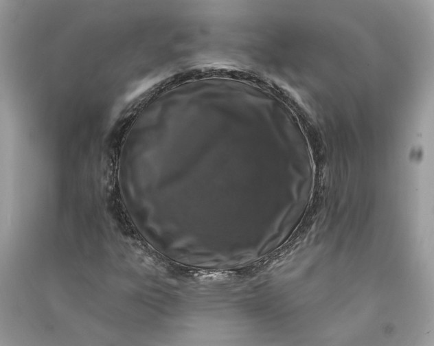 X0000090731303200708101630