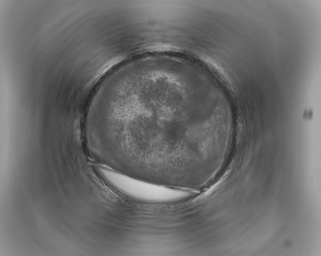 X0000090731305200708101630