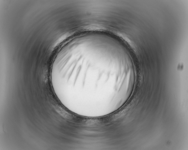 X0000090731306200708101630