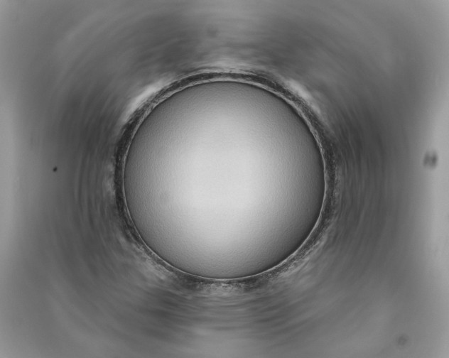 X0000090731307200708101630