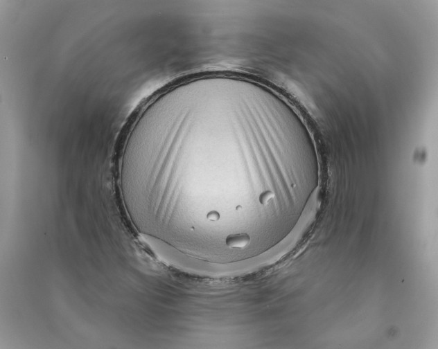 X0000090731308200708101630