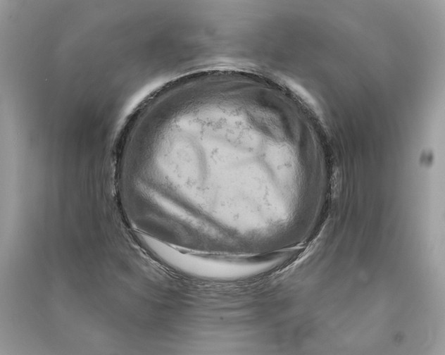 X0000090731310200708101630