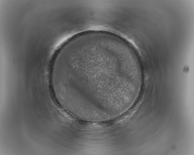 X0000090731311200708101630