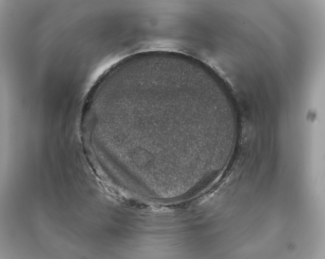 X0000090731312200708101631