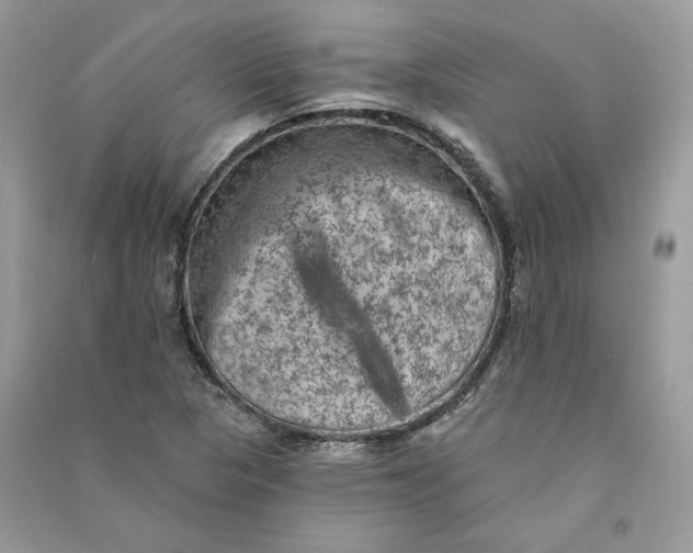 X0000090731313200708101631