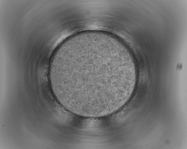 X0000090731314200708101631