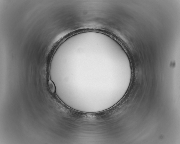 X0000090731315200708101631