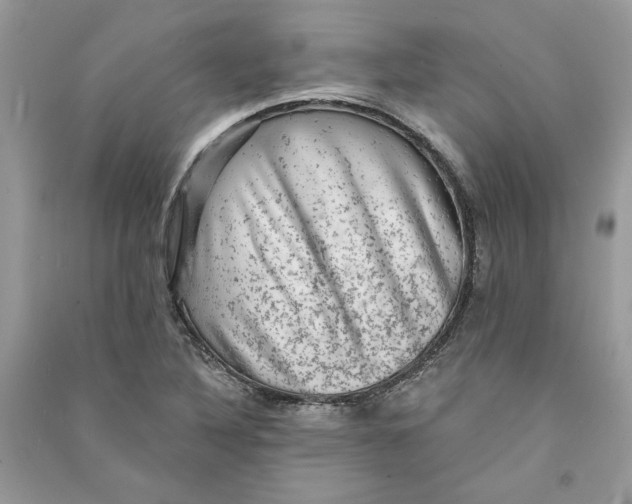 X0000090731316200708101631