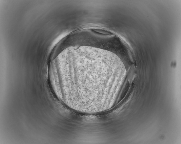 X0000090731317200708101631