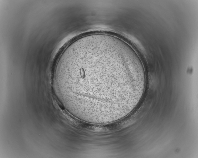 X0000090731318200708101631