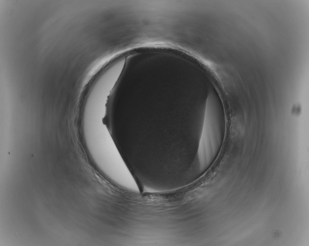 X0000090731319200708101631