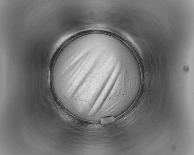 X0000090731320200708101631