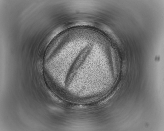 X0000090731321200708101631