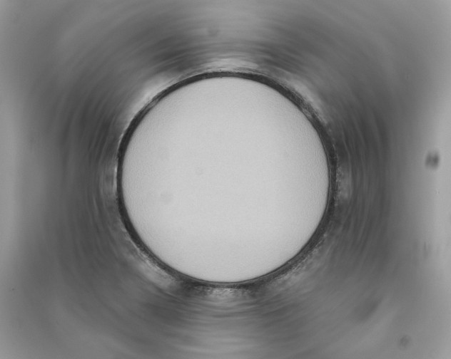 X0000090731322200708101631