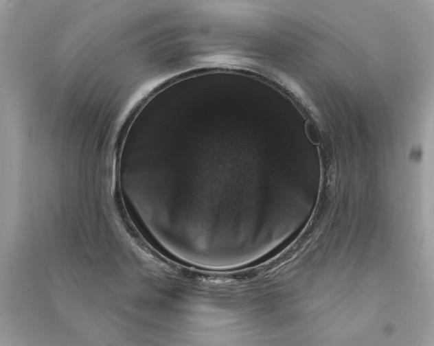 X0000090731323200708101631