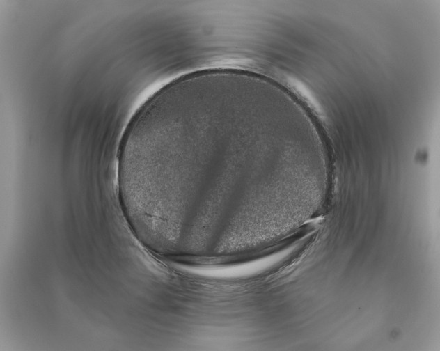 X0000090731324200708101631