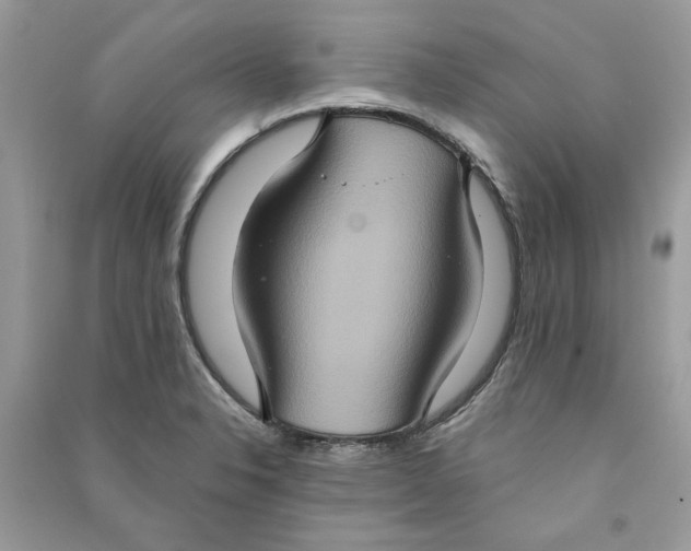 X0000090731326200708101631