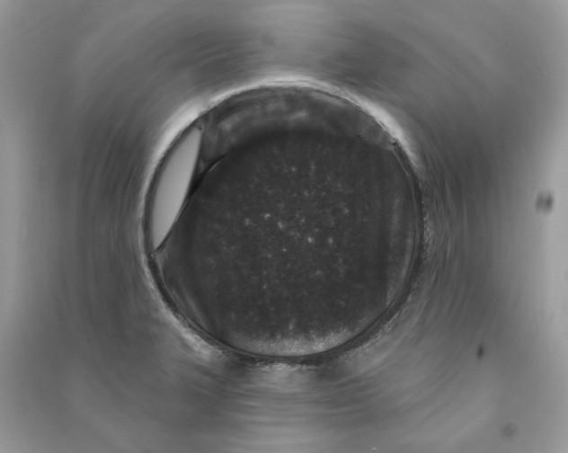 X0000090731327200708101631