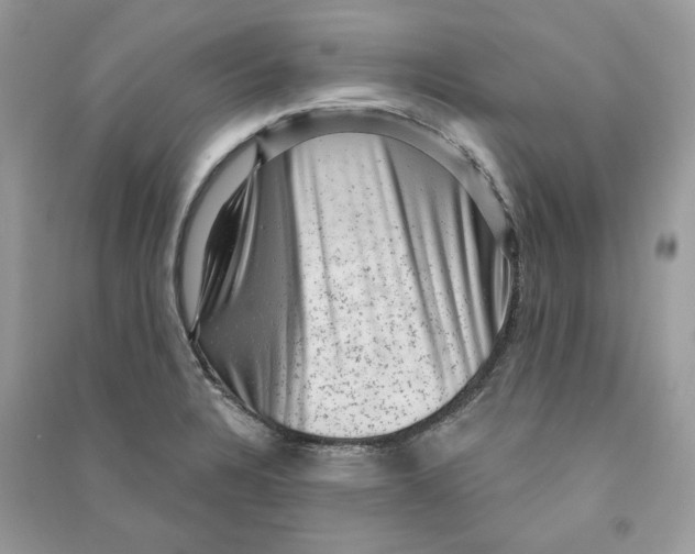 X0000090731328200708101631