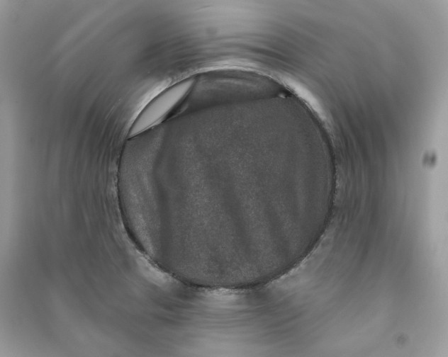 X0000090731329200708101631