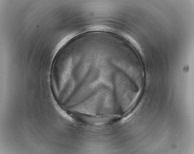 X0000090731330200708101631