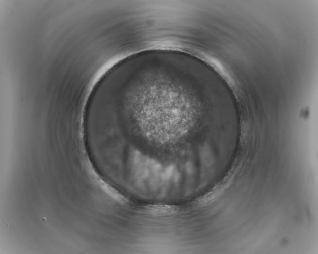 X0000090731331200708101631