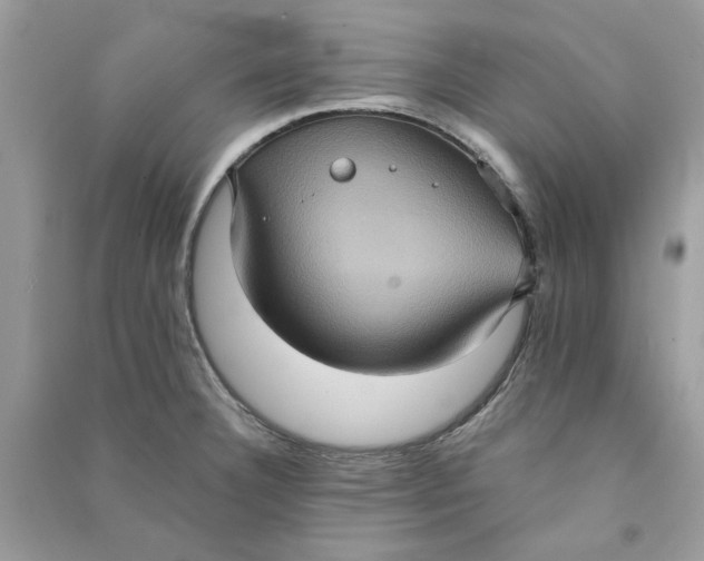 X0000090731332200708101631