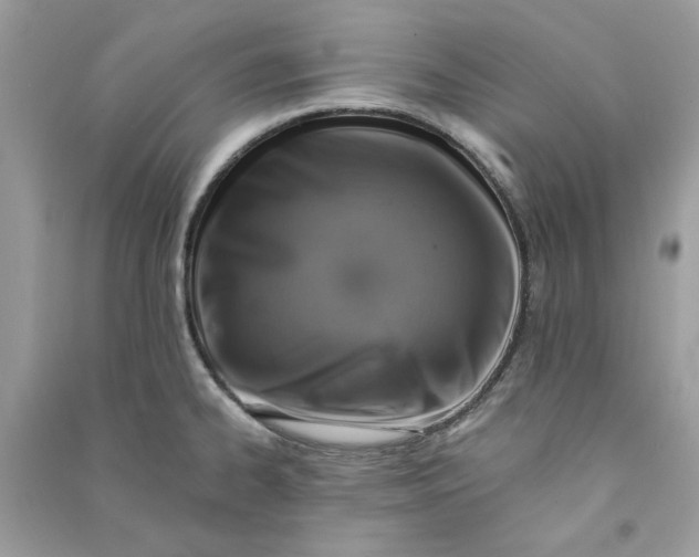 X0000090731334200708101631