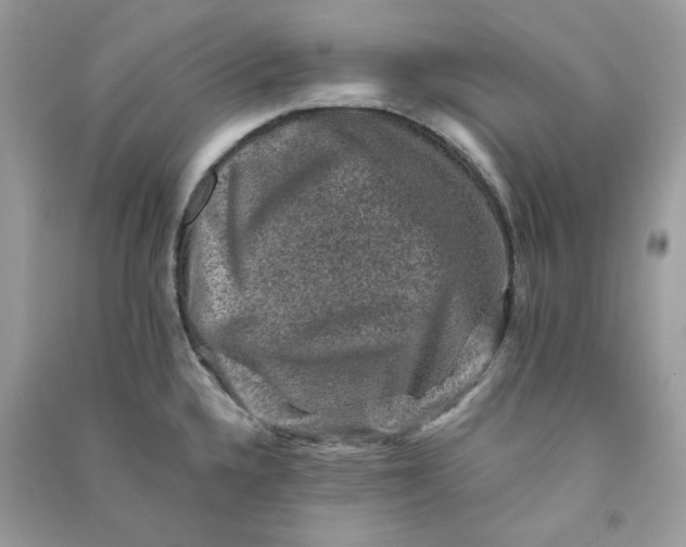 X0000090731336200708101631