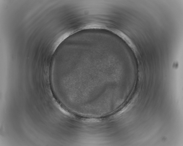 X0000090731337200708101631