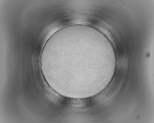 X0000090731338200708101631