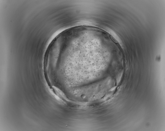 X0000090731339200708101631