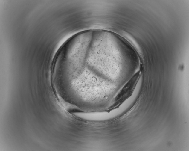 X0000090731340200708101631