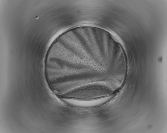 X0000090731341200708101631