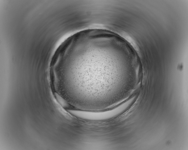 X0000090731342200708101631