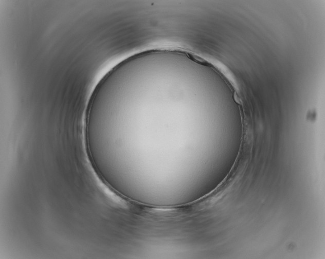 X0000090731343200708101631