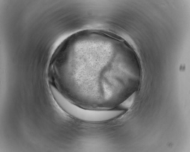 X0000090731344200708101631