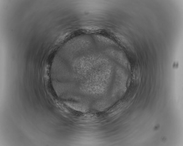 X0000090731346200708101630