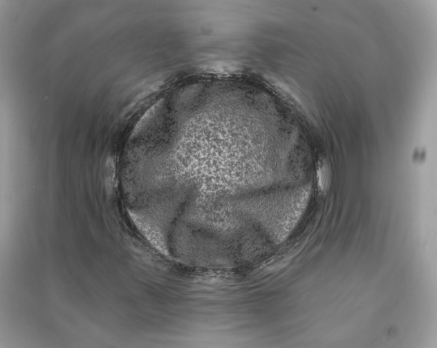 X0000090731347200708101630