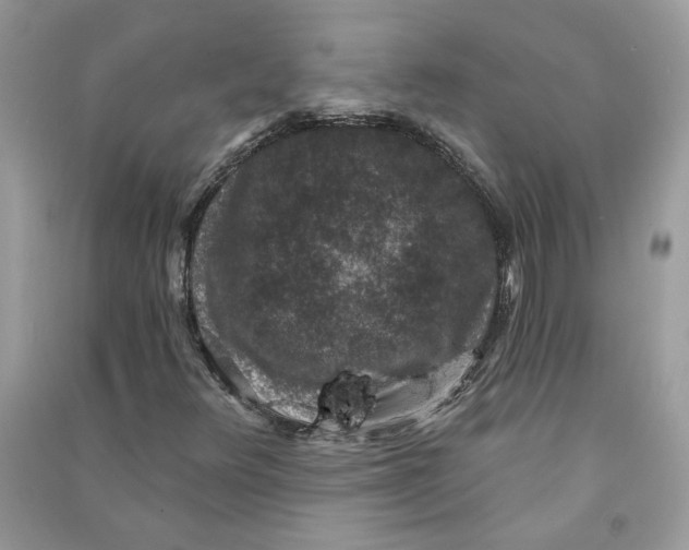 X0000090731348200708101630