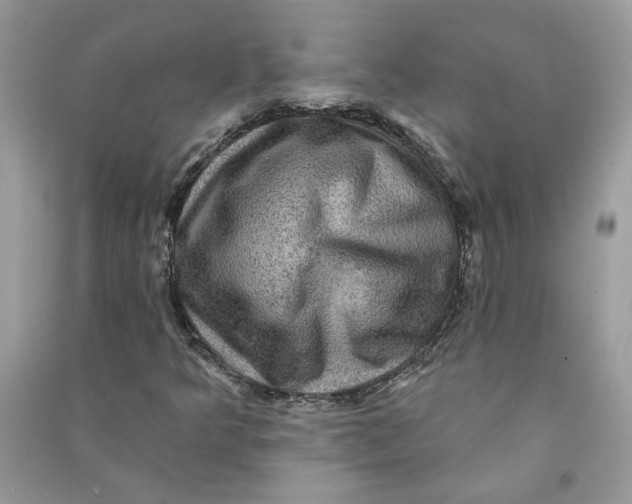 X0000090731349200708101630