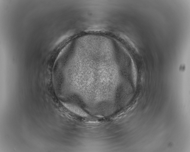 X0000090731350200708101630