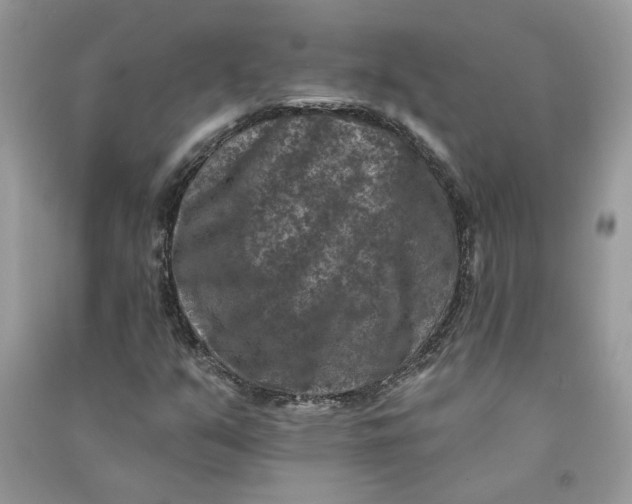 X0000090731351200708101630