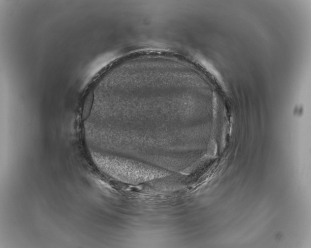 X0000090731352200708101630