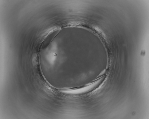 X0000090731353200708101630