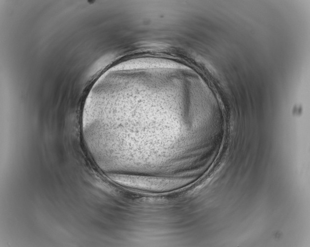 X0000090731354200708101630