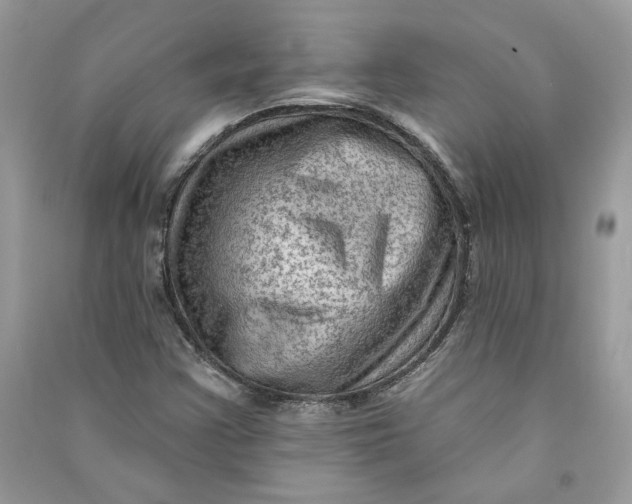 X0000090731355200708101630