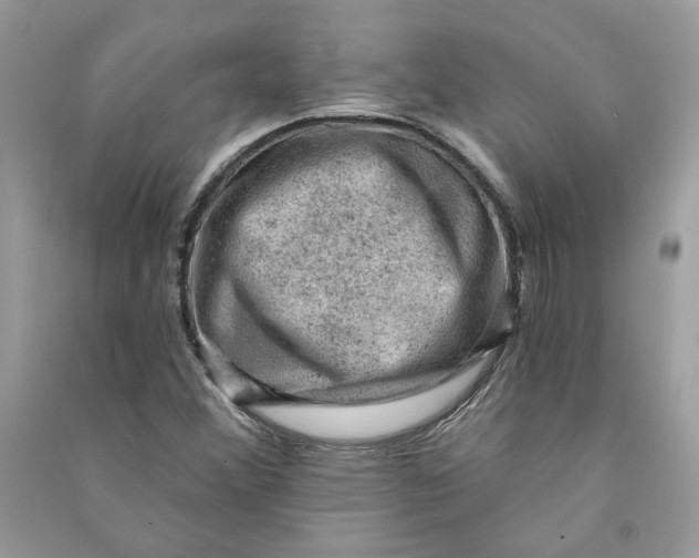 X0000090731356200708101630