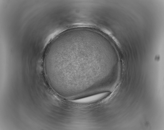 X0000090731357200708101630